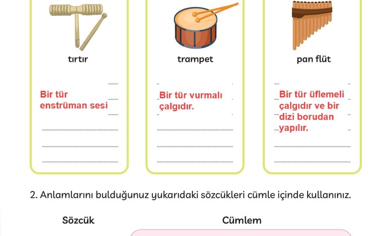 3. Sınıf Meb Yayınları Türkçe Ders Kitabı Sayfa 231 Cevapları