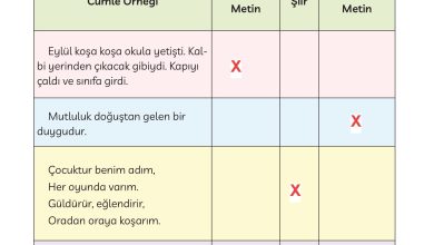 3. Sınıf Meb Yayınları Türkçe Ders Kitabı Sayfa 233 Cevapları