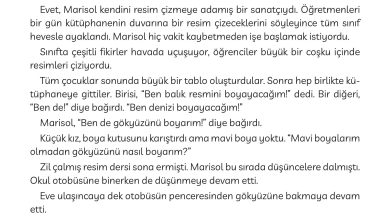 3. Sınıf Meb Yayınları Türkçe Ders Kitabı Sayfa 236 Cevapları