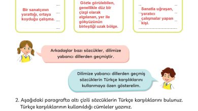 3. Sınıf Meb Yayınları Türkçe Ders Kitabı Sayfa 238 Cevapları