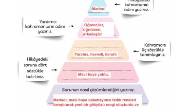 3. Sınıf Meb Yayınları Türkçe Ders Kitabı Sayfa 239 Cevapları