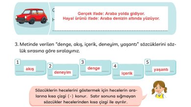 3. Sınıf Meb Yayınları Türkçe Ders Kitabı Sayfa 24 Cevapları