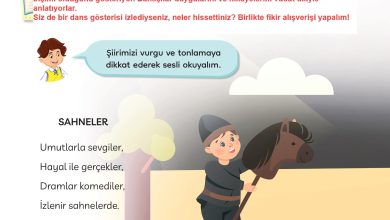 3. Sınıf Meb Yayınları Türkçe Ders Kitabı Sayfa 242 Cevapları