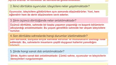 3. Sınıf Meb Yayınları Türkçe Ders Kitabı Sayfa 245 Cevapları