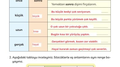 3. Sınıf Meb Yayınları Türkçe Ders Kitabı Sayfa 246 Cevapları