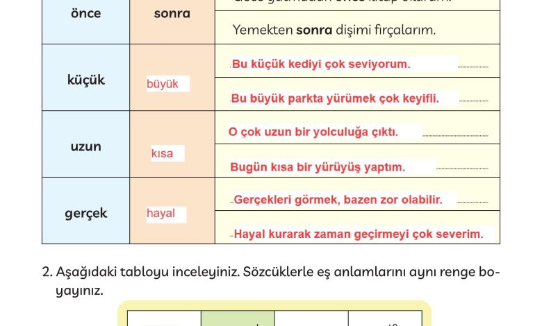 3. Sınıf Meb Yayınları Türkçe Ders Kitabı Sayfa 246 Cevapları