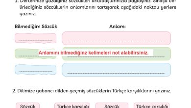 3. Sınıf Meb Yayınları Türkçe Ders Kitabı Sayfa 249 Cevapları