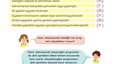 3. Sınıf Meb Yayınları Türkçe Ders Kitabı Sayfa 250 Cevapları