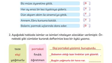 3. Sınıf Meb Yayınları Türkçe Ders Kitabı Sayfa 251 Cevapları