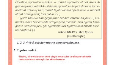 3. Sınıf Meb Yayınları Türkçe Ders Kitabı Sayfa 257 Cevapları