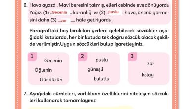 3. Sınıf Meb Yayınları Türkçe Ders Kitabı Sayfa 258 Cevapları