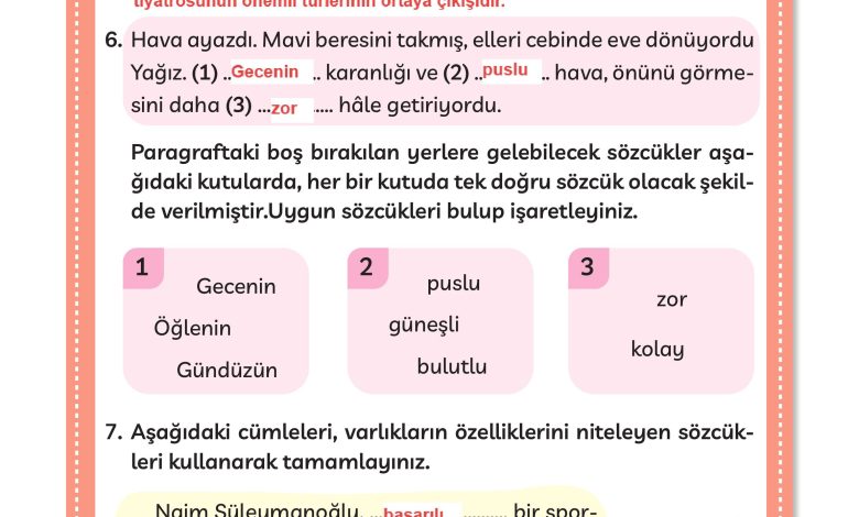 3. Sınıf Meb Yayınları Türkçe Ders Kitabı Sayfa 258 Cevapları