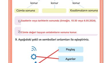 3. Sınıf Meb Yayınları Türkçe Ders Kitabı Sayfa 259 Cevapları