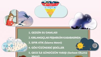 3. Sınıf Meb Yayınları Türkçe Ders Kitabı Sayfa 262 Cevapları