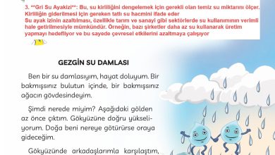 3. Sınıf Meb Yayınları Türkçe Ders Kitabı Sayfa 264 Cevapları