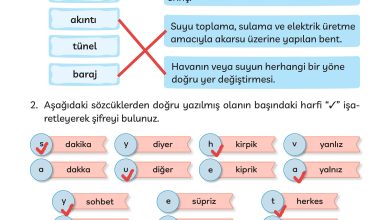 3. Sınıf Meb Yayınları Türkçe Ders Kitabı Sayfa 267 Cevapları