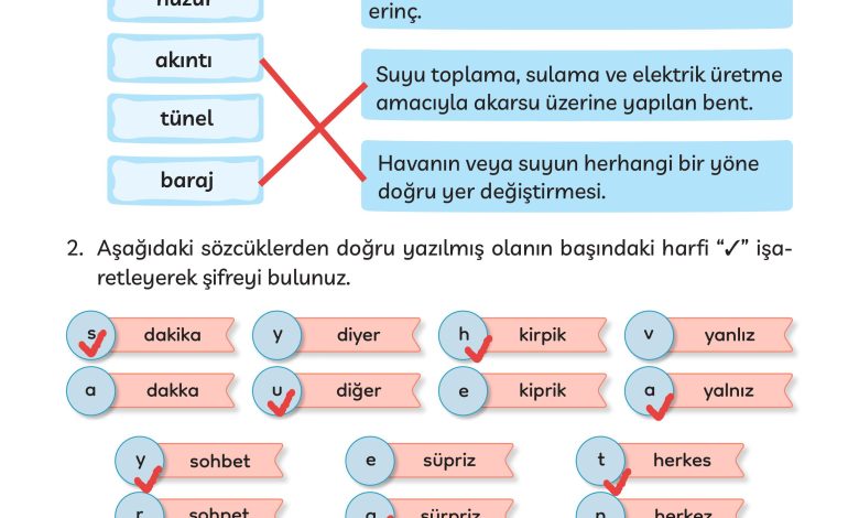 3. Sınıf Meb Yayınları Türkçe Ders Kitabı Sayfa 267 Cevapları