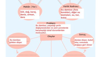 3. Sınıf Meb Yayınları Türkçe Ders Kitabı Sayfa 268 Cevapları