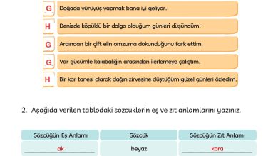 3. Sınıf Meb Yayınları Türkçe Ders Kitabı Sayfa 269 Cevapları