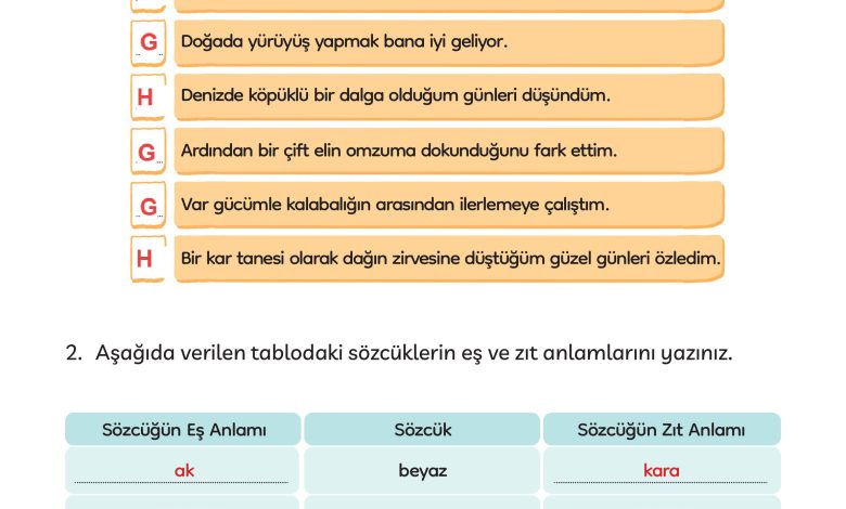 3. Sınıf Meb Yayınları Türkçe Ders Kitabı Sayfa 269 Cevapları