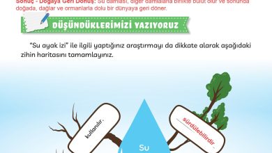 3. Sınıf Meb Yayınları Türkçe Ders Kitabı Sayfa 270 Cevapları