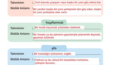 3. Sınıf Meb Yayınları Türkçe Ders Kitabı Sayfa 274 Cevapları