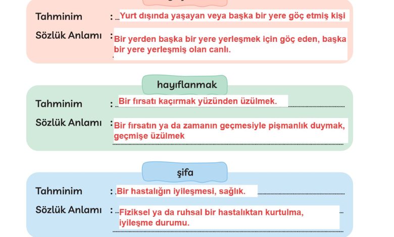 3. Sınıf Meb Yayınları Türkçe Ders Kitabı Sayfa 274 Cevapları