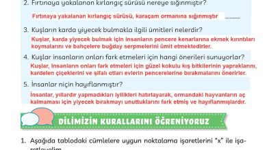 3. Sınıf Meb Yayınları Türkçe Ders Kitabı Sayfa 275 Cevapları