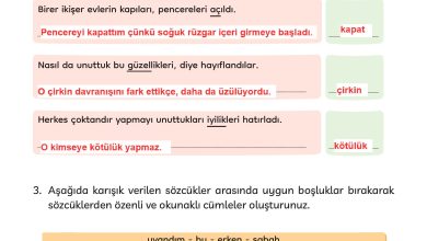 3. Sınıf Meb Yayınları Türkçe Ders Kitabı Sayfa 276 Cevapları