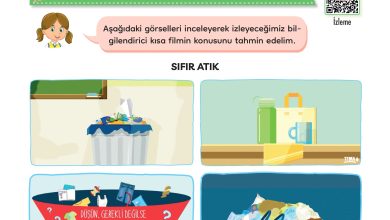 3. Sınıf Meb Yayınları Türkçe Ders Kitabı Sayfa 278 Cevapları