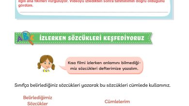 3. Sınıf Meb Yayınları Türkçe Ders Kitabı Sayfa 279 Cevapları