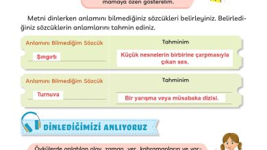 3. Sınıf Meb Yayınları Türkçe Ders Kitabı Sayfa 28 Cevapları