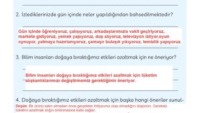 3. Sınıf Meb Yayınları Türkçe Ders Kitabı Sayfa 280 Cevapları