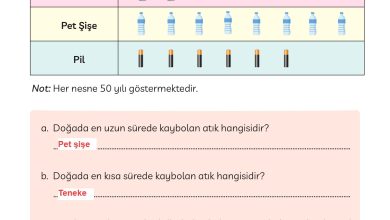 3. Sınıf Meb Yayınları Türkçe Ders Kitabı Sayfa 281 Cevapları