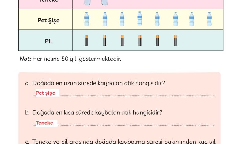 3. Sınıf Meb Yayınları Türkçe Ders Kitabı Sayfa 281 Cevapları