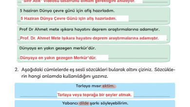 3. Sınıf Meb Yayınları Türkçe Ders Kitabı Sayfa 282 Cevapları