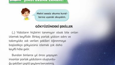 3. Sınıf Meb Yayınları Türkçe Ders Kitabı Sayfa 284 Cevapları