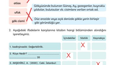 3. Sınıf Meb Yayınları Türkçe Ders Kitabı Sayfa 286 Cevapları