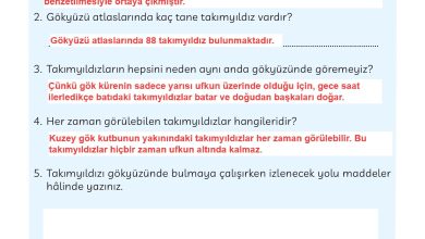 3. Sınıf Meb Yayınları Türkçe Ders Kitabı Sayfa 287 Cevapları