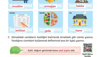 3. Sınıf Meb Yayınları Türkçe Ders Kitabı Sayfa 288 Cevapları