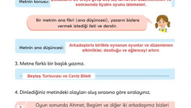 3. Sınıf Meb Yayınları Türkçe Ders Kitabı Sayfa 29 Cevapları