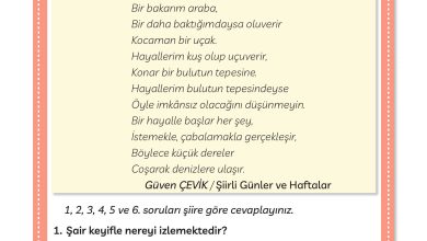 3. Sınıf Meb Yayınları Türkçe Ders Kitabı Sayfa 292 Cevapları