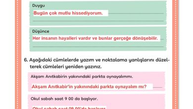 3. Sınıf Meb Yayınları Türkçe Ders Kitabı Sayfa 293 Cevapları