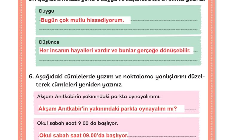 3. Sınıf Meb Yayınları Türkçe Ders Kitabı Sayfa 293 Cevapları