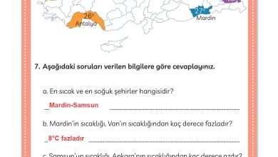 3. Sınıf Meb Yayınları Türkçe Ders Kitabı Sayfa 294 Cevapları