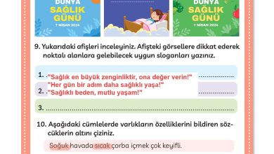 3. Sınıf Meb Yayınları Türkçe Ders Kitabı Sayfa 296 Cevapları