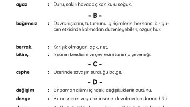 3. Sınıf Meb Yayınları Türkçe Ders Kitabı Sayfa 297 Cevapları