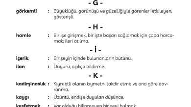 3. Sınıf Meb Yayınları Türkçe Ders Kitabı Sayfa 298 Cevapları