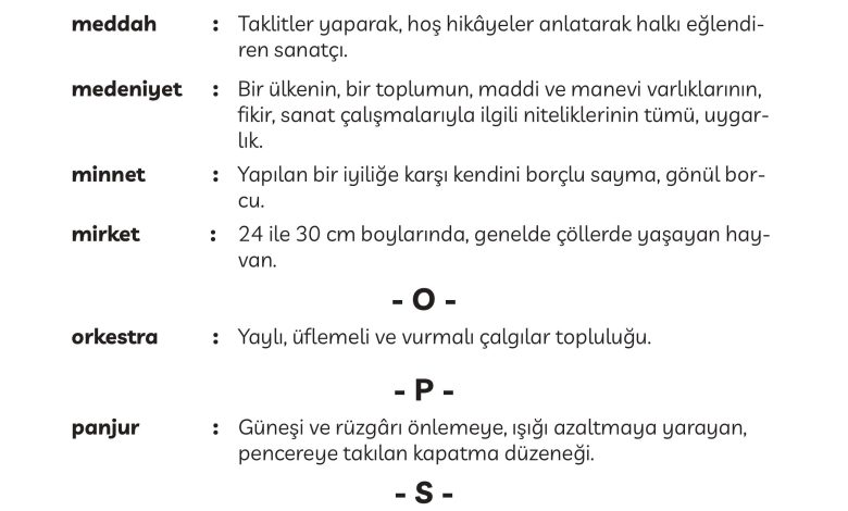 3. Sınıf Meb Yayınları Türkçe Ders Kitabı Sayfa 299 Cevapları