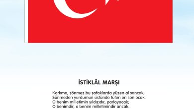 3. Sınıf Meb Yayınları Türkçe Ders Kitabı Sayfa 3 Cevapları